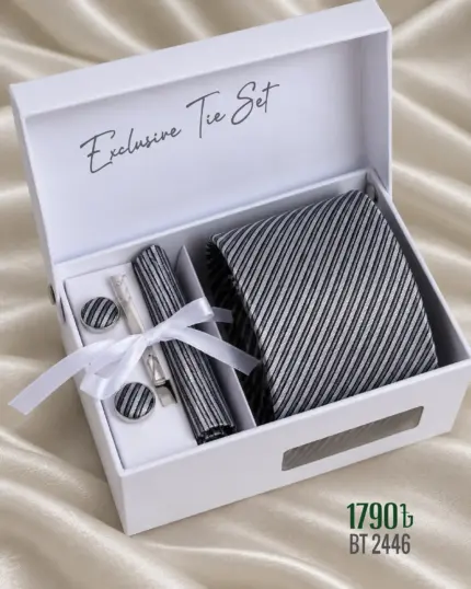 Premium Imported Tie Set-BT2446